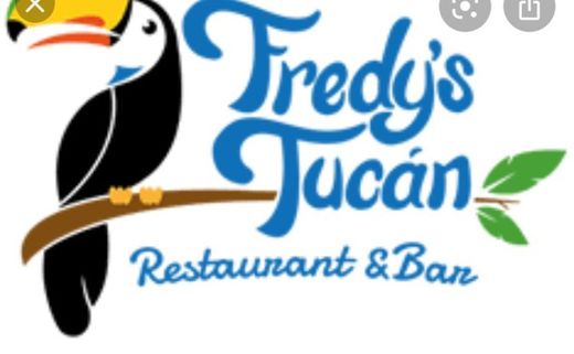 Fredy's Tucan