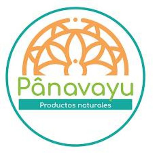 Panavayu