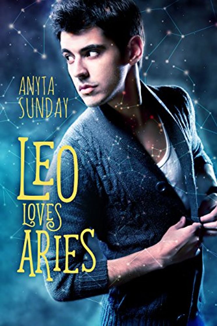 Libro Leo Loves Aries