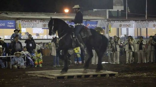 Feria del caballo Texcoco FICT