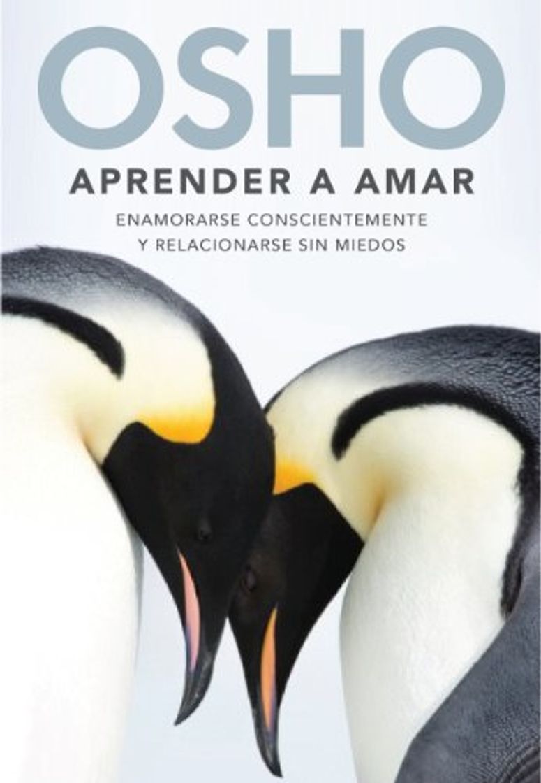 Book Aprender a amar: Enamorarse conscientemente y relacionarse sin miedos