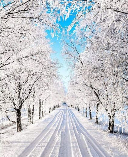 Manhãs de Inverno na Finlândia 🇫🇮❄️