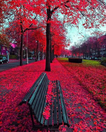 Outono em Amsterdam