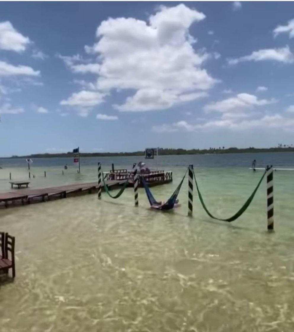 Place Jericoacoara