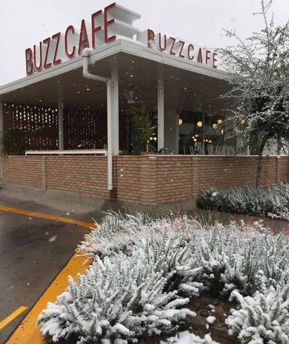 Restaurantes BUZZCAFÉ