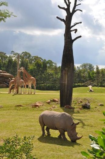 Australia Zoo