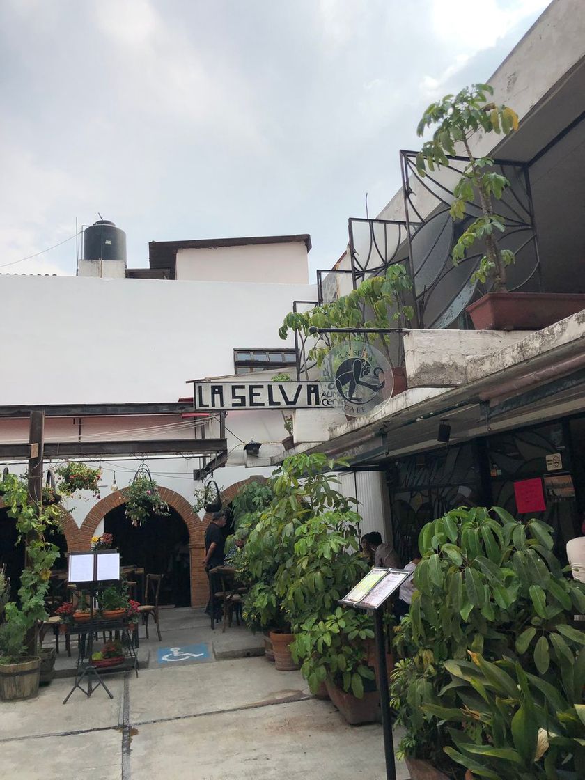 Restaurantes La Selva Café