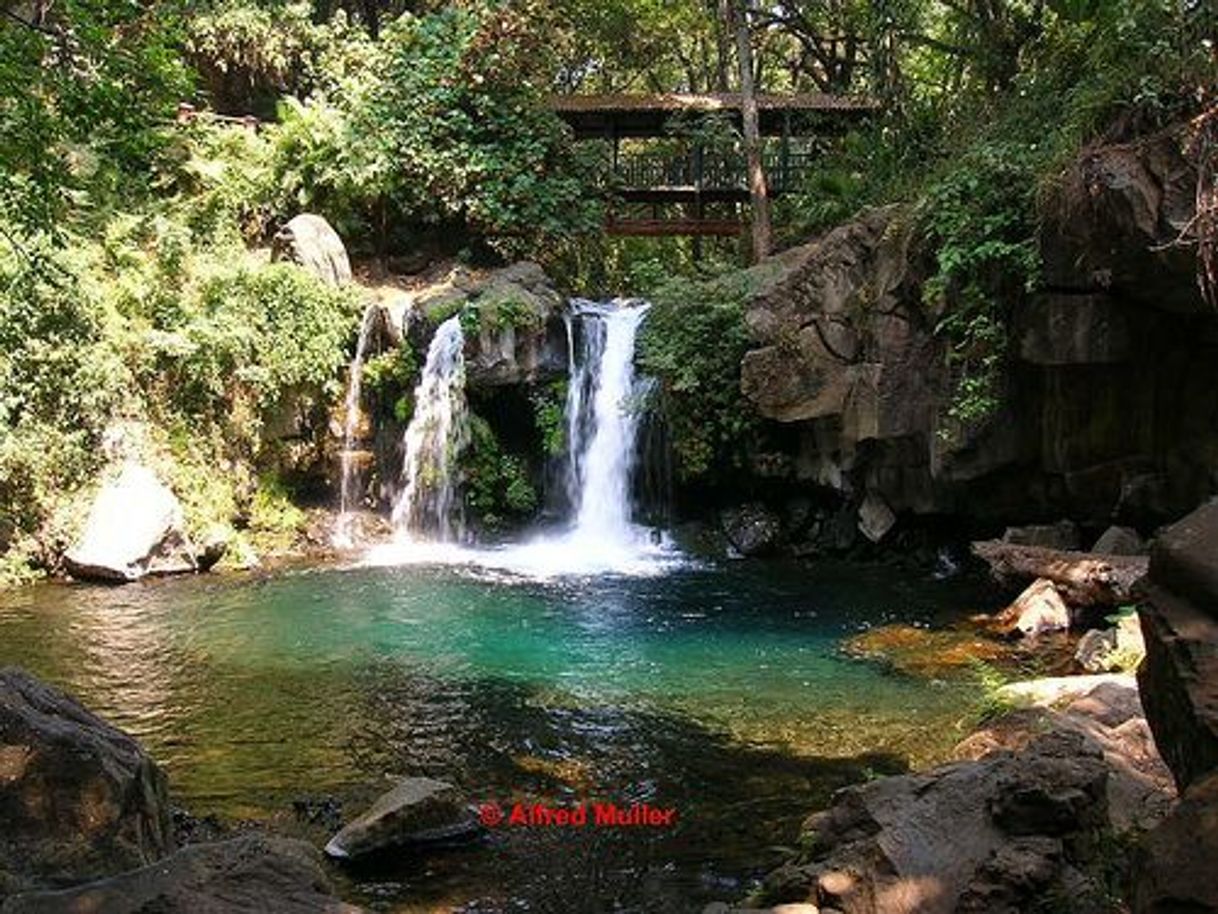 Place Parque Nacional De Uruapan