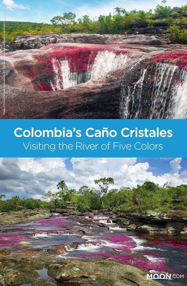 Place Caño Cristales