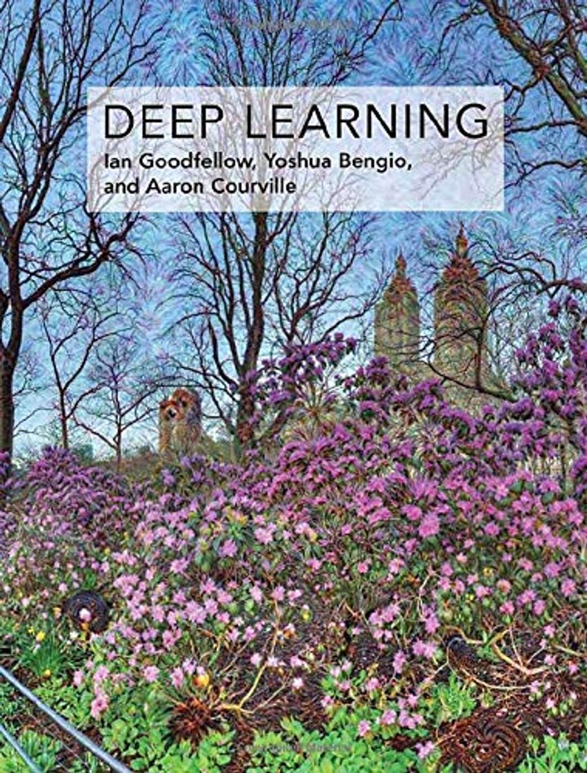 Book Deep Learning