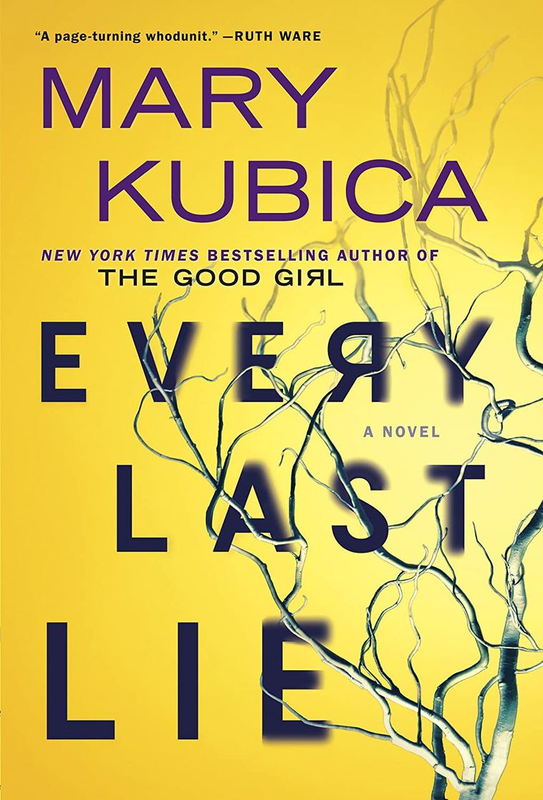 Book Every Last Lie by Mary Kubica

