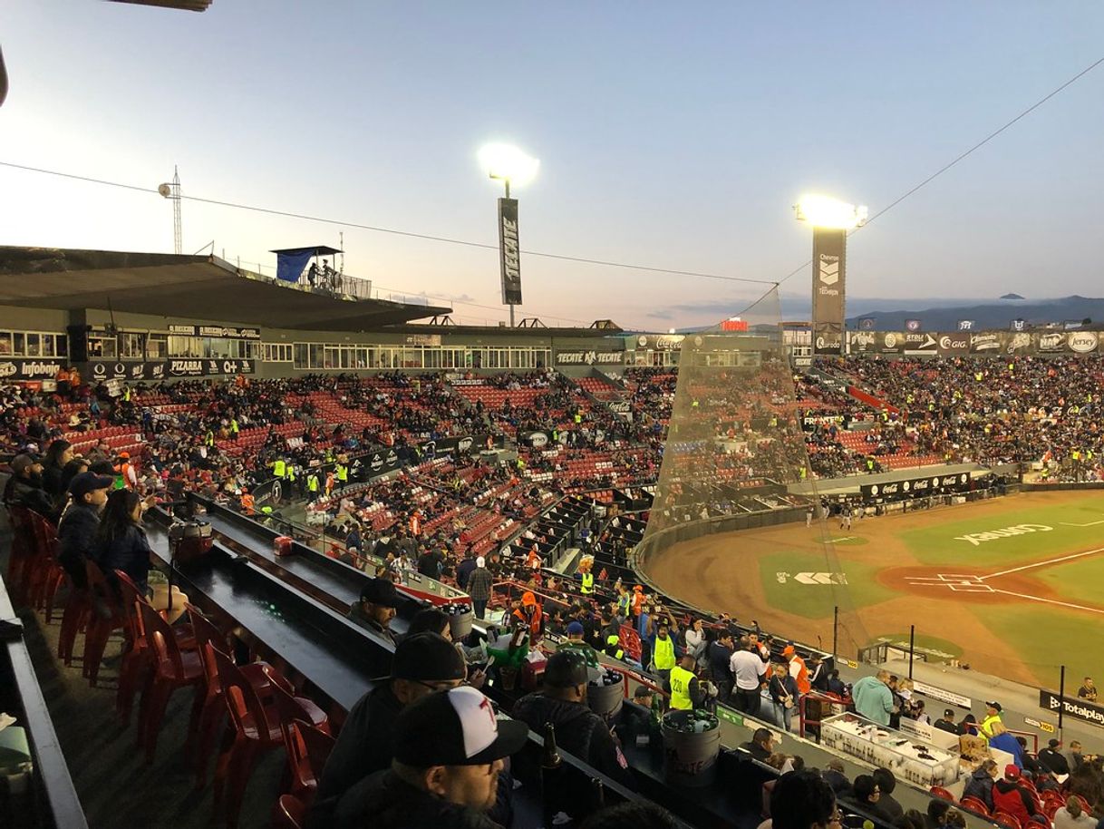 Place Estadio Chevron