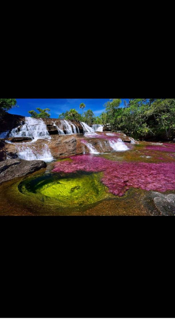 Lugar Caño Cristales