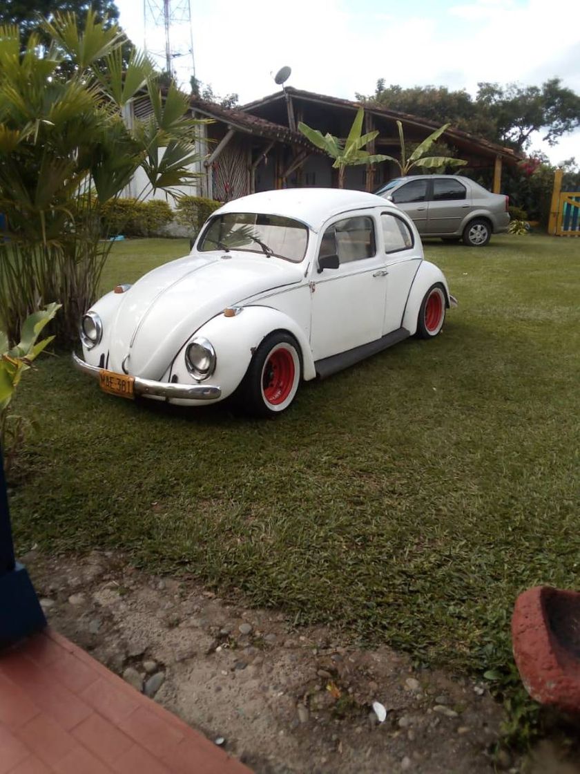 Productos VW escarabajo Descapotable, azul claro, abierto , 1959, Modelo de Auto, modello