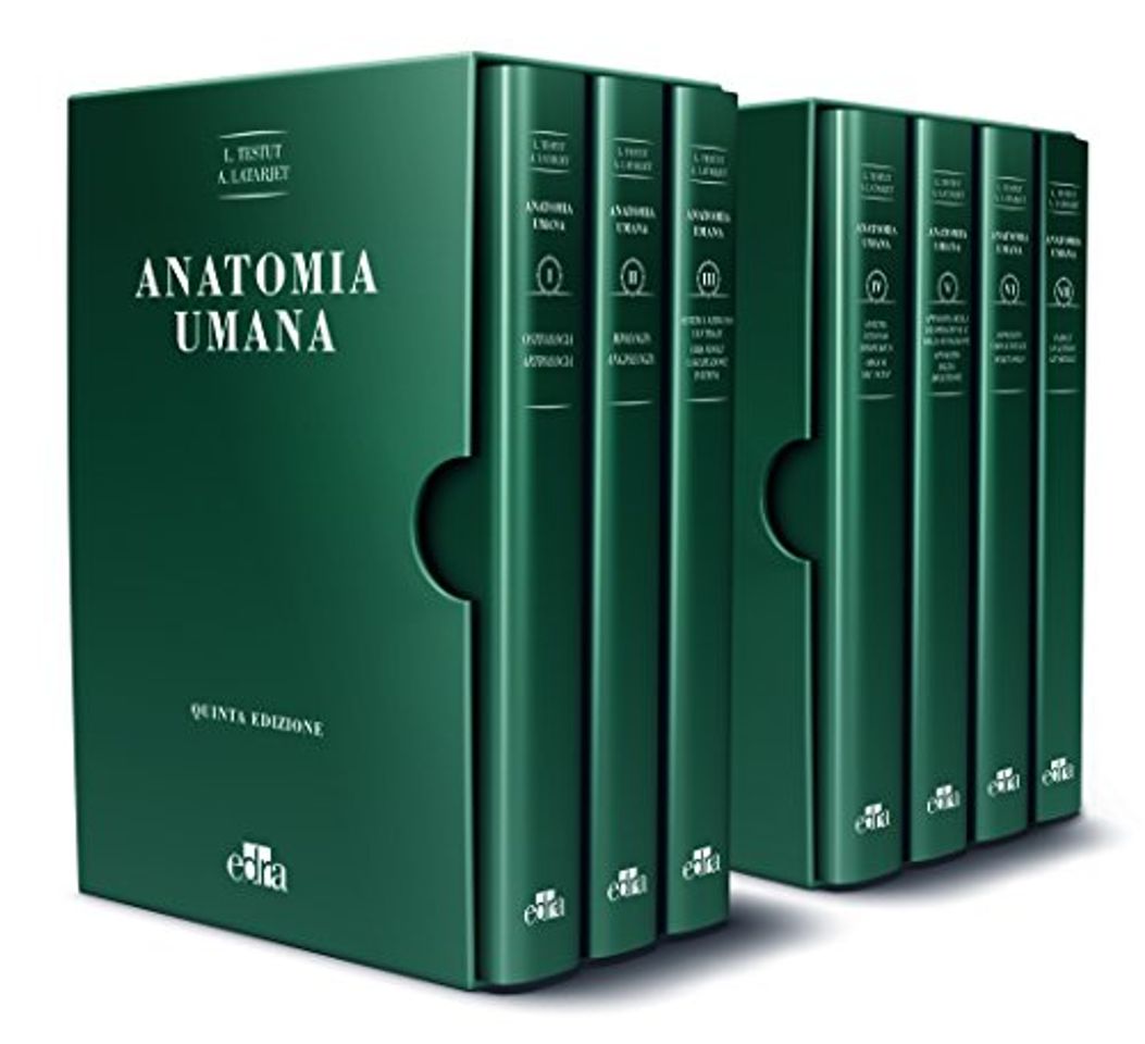 Book Trattato di anatomia umana