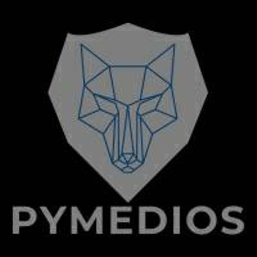 Pymedios le ayuda a tu negocio a tener ventas en linea