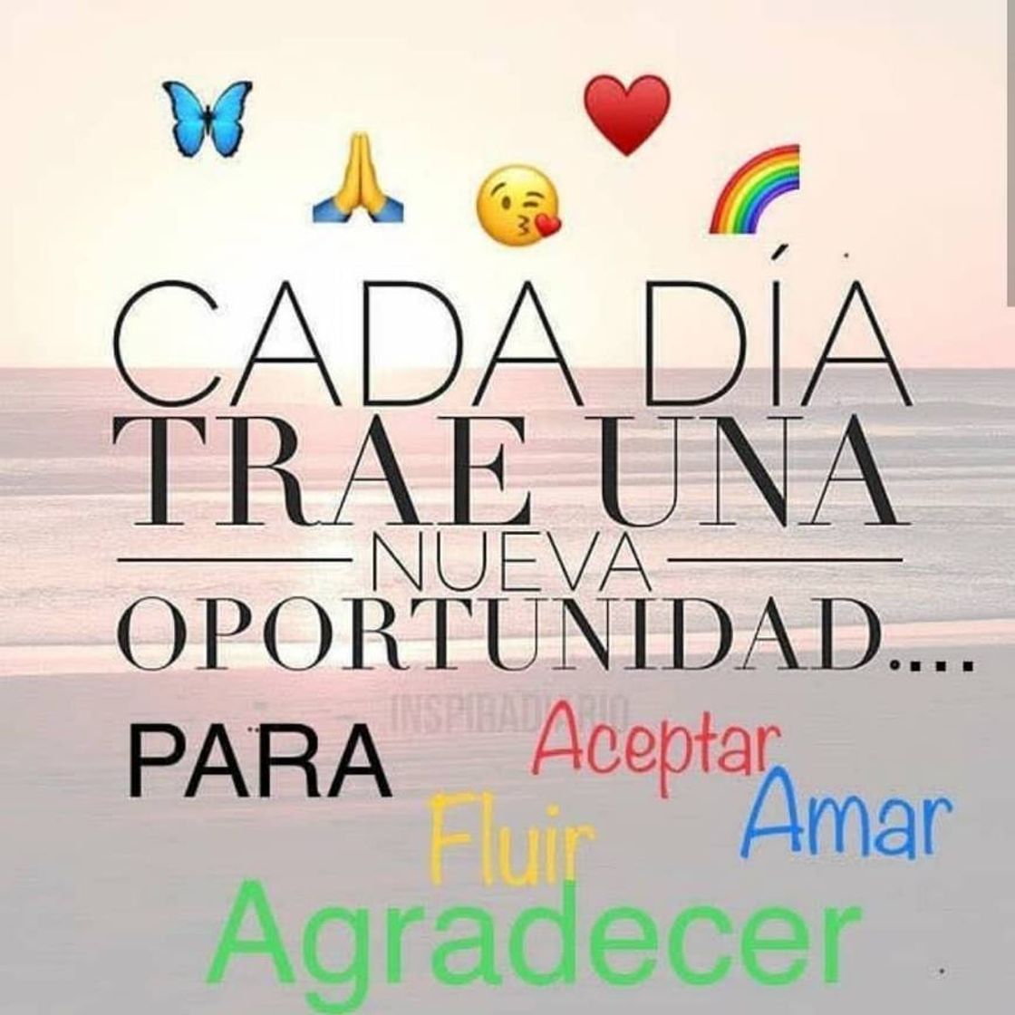 Social Imagen