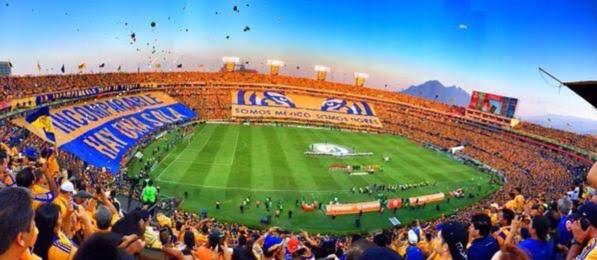 Place Estadio Universitario