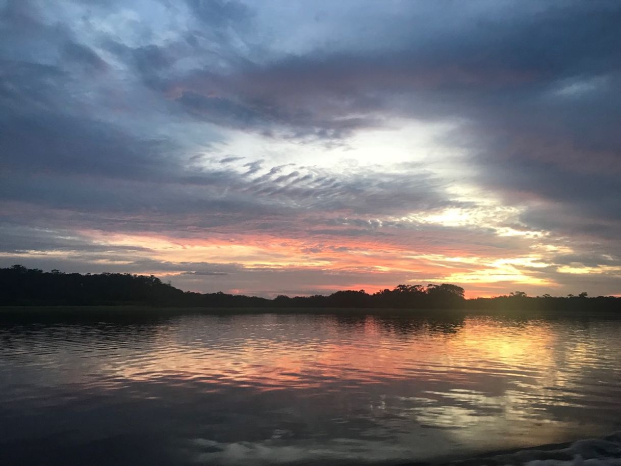 Lugar Rio Amazonas