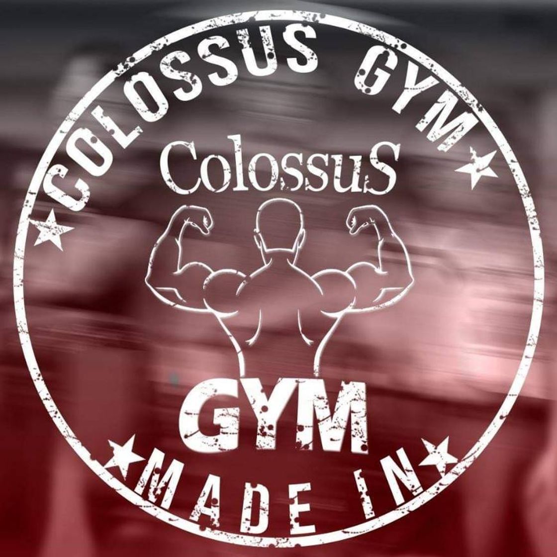 Lugar Colossus gym