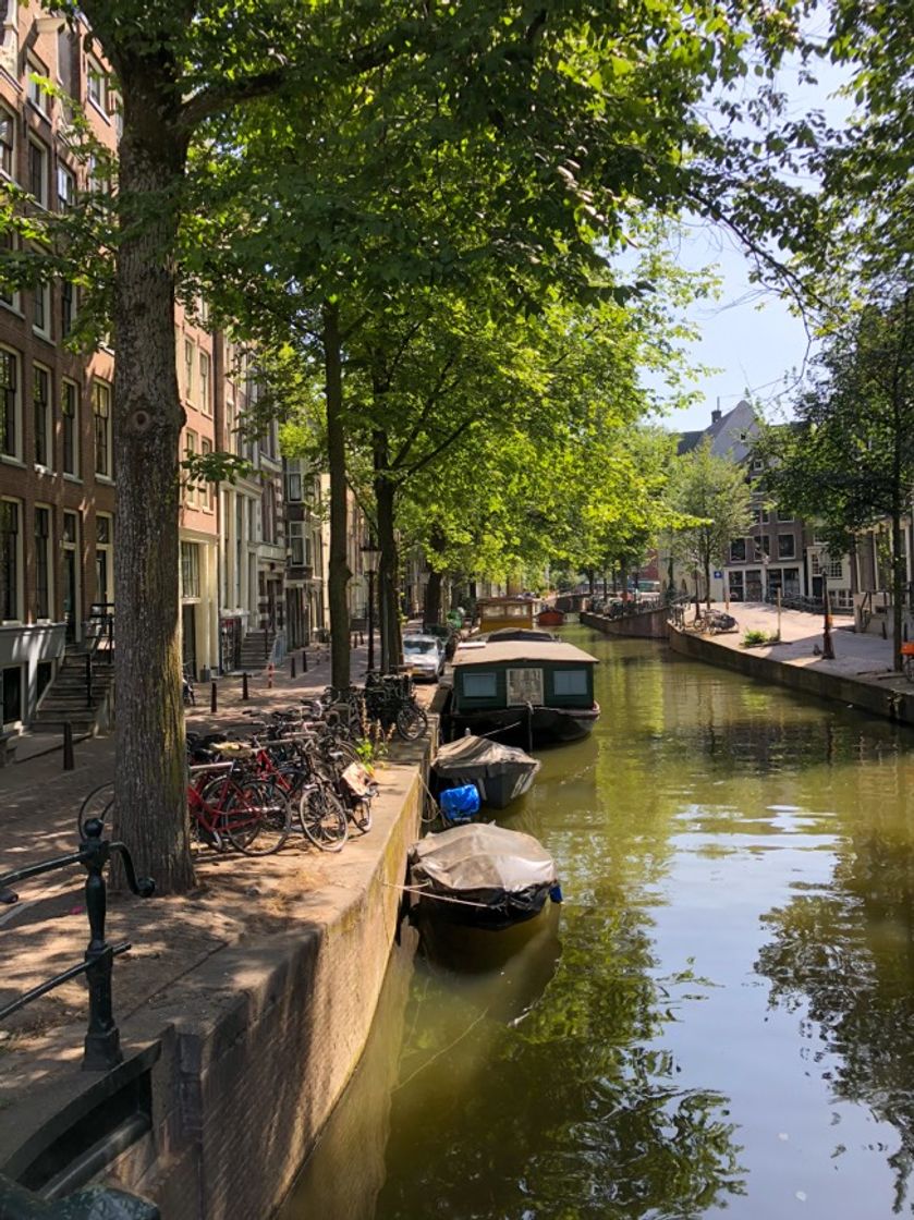 Raamgracht