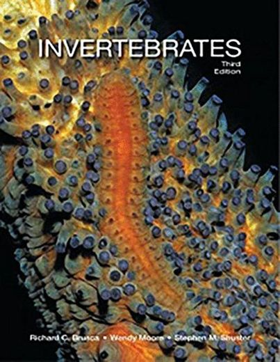 Invertebrates