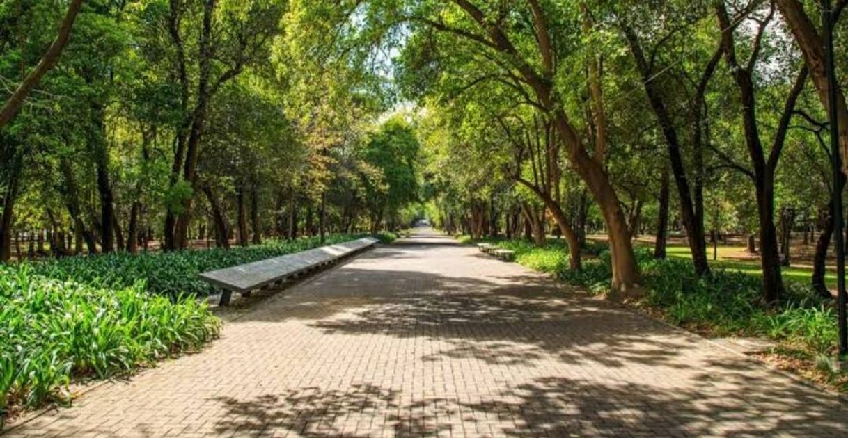 Place Bosque de Chapultepec