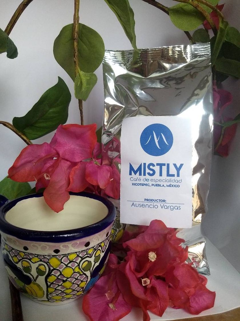 Social Café Mistly - Home