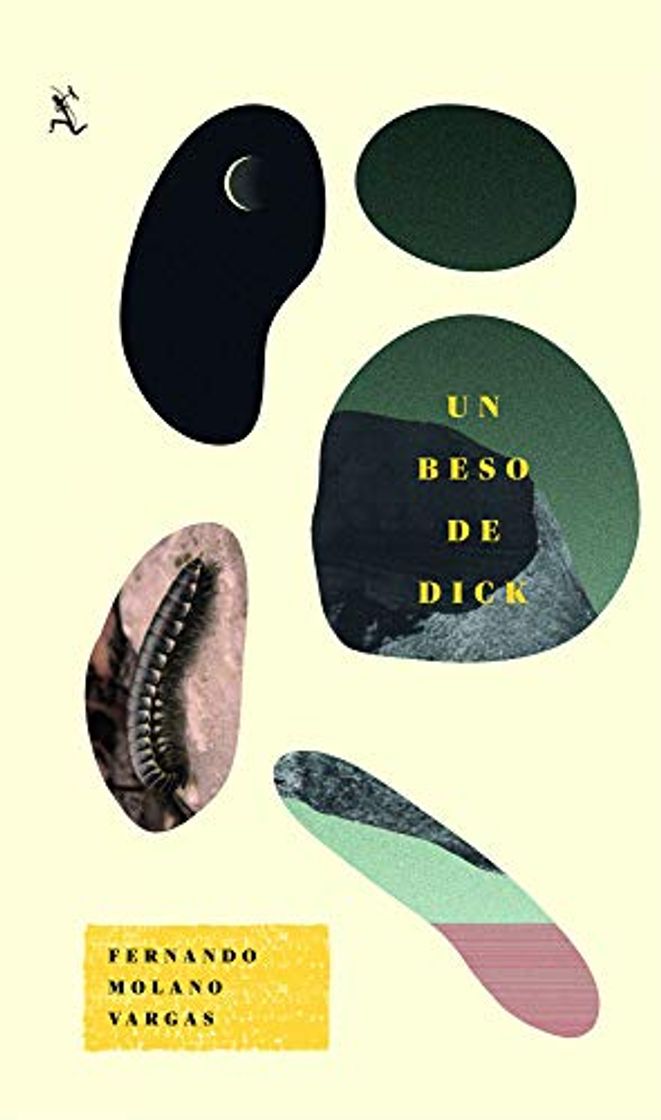 Libro Un beso de dick