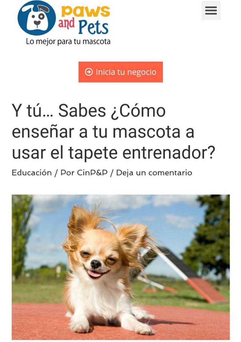 Moda Tapete entrenador... Guía de entrenamiento!! 🐕