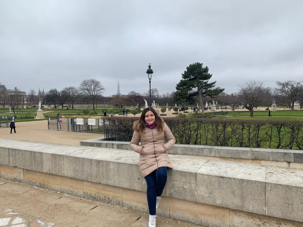 Place Jardin des Tuileries