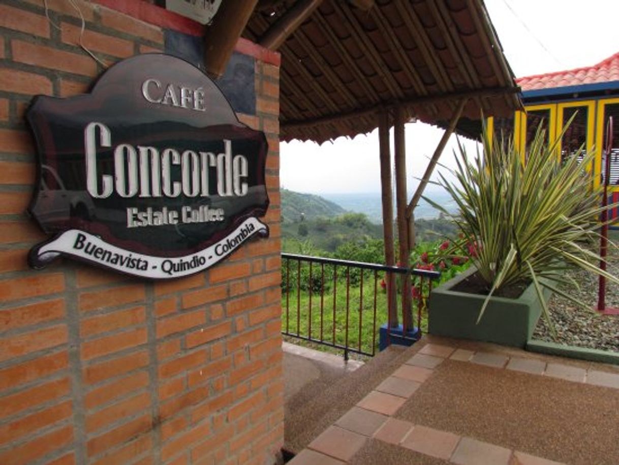 Restaurantes cafe concorde