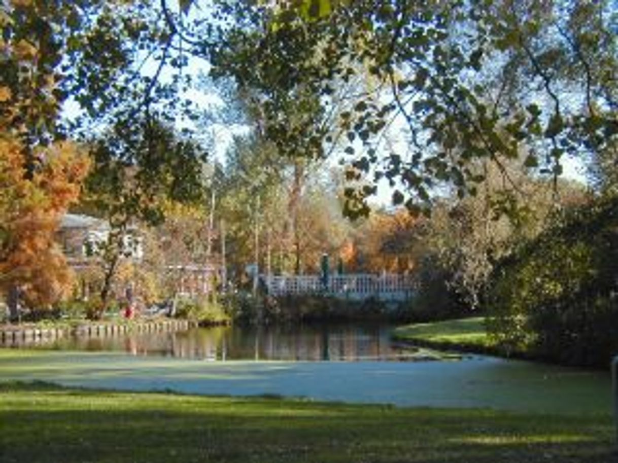 Restaurantes Vondelpark