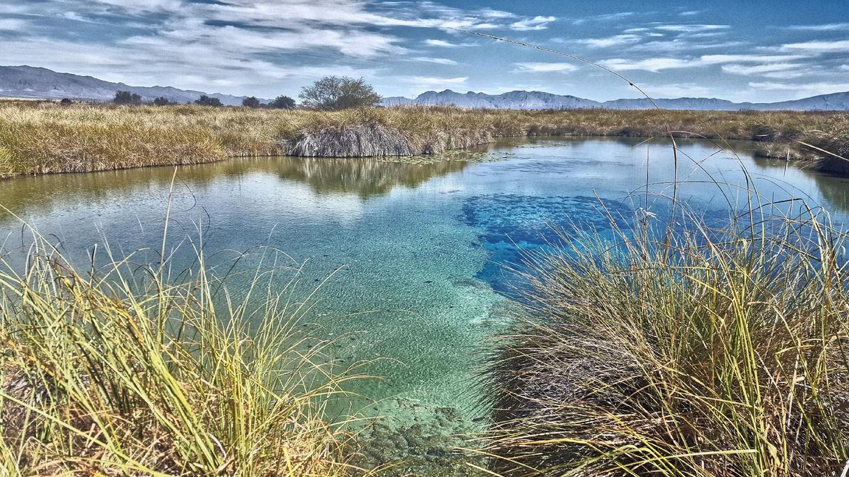 Lugar CUATROCIENEGAS DE CARRANZA