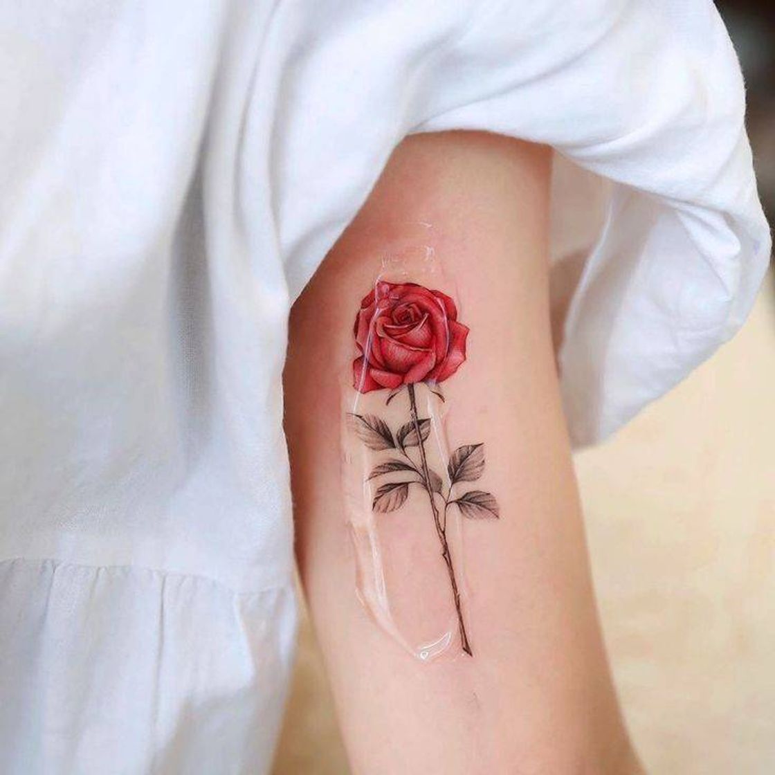 Fashion TATTO 🌹