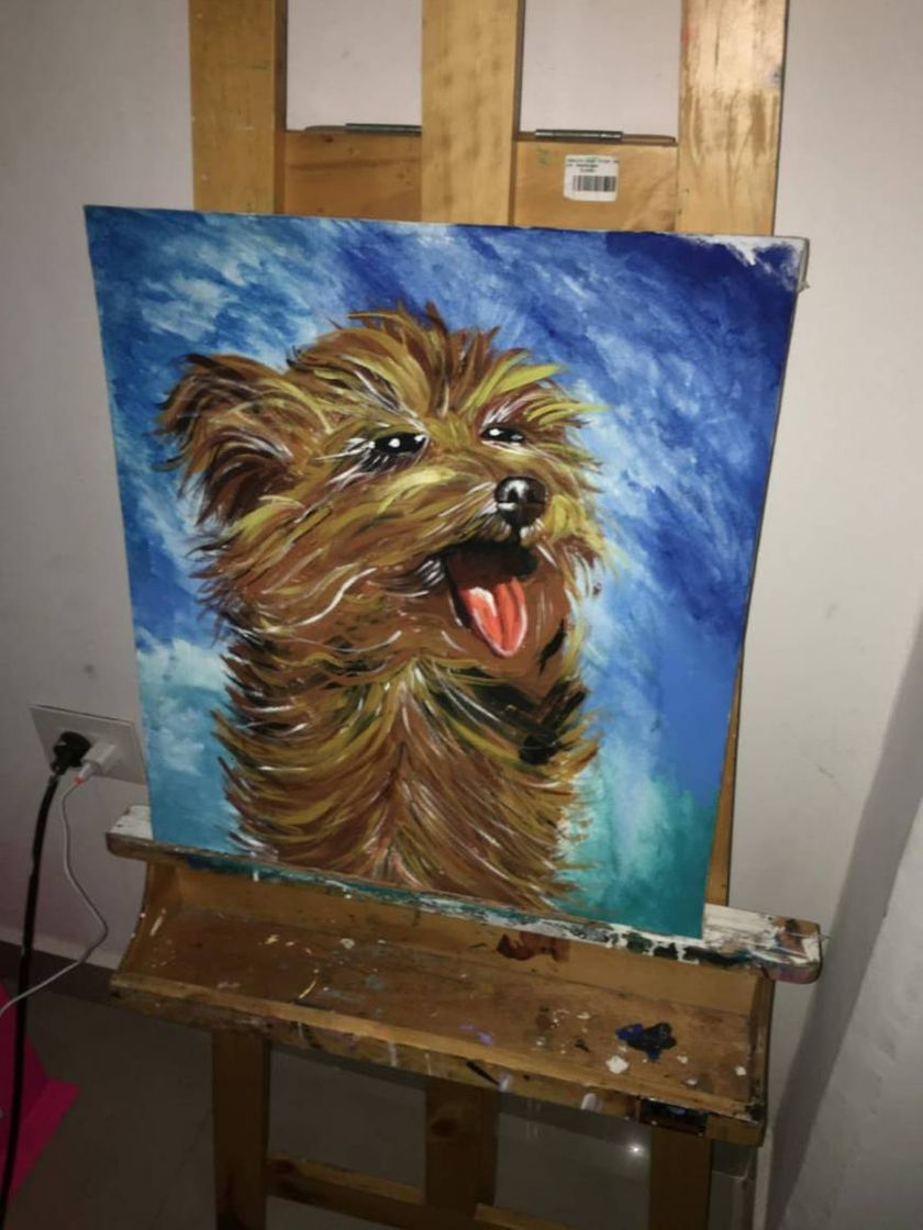 Social Lienzos para pintar