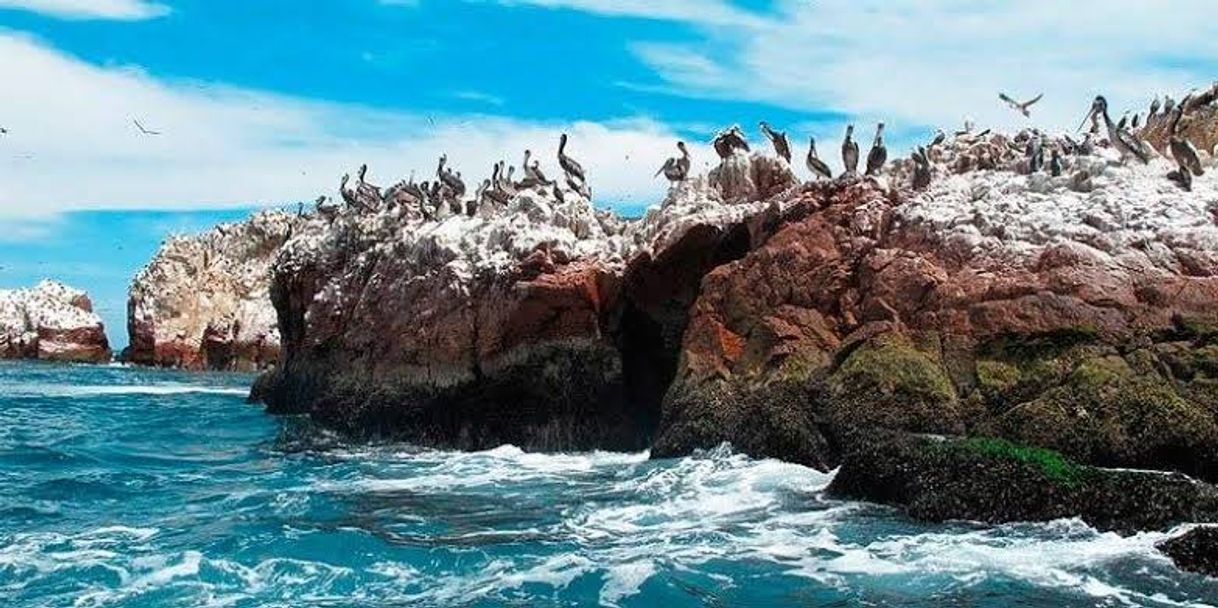 Lugar Reserva Nacional Islas Ballestas