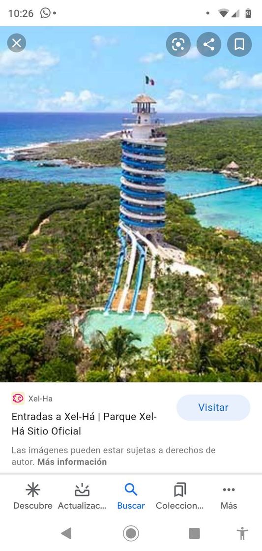 Social TMC603A parque xel-ha 