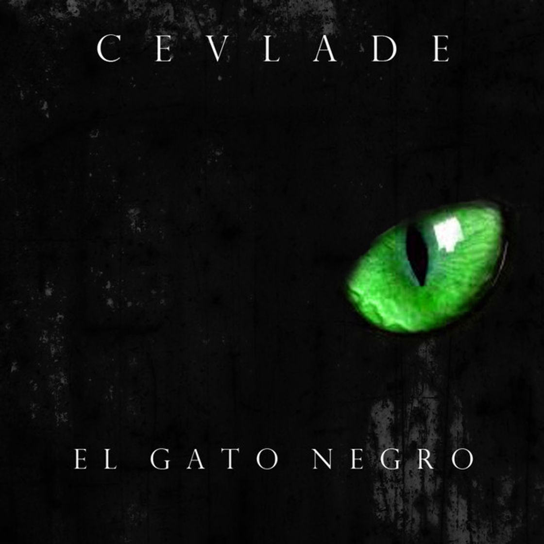 Canción El Gato Negro