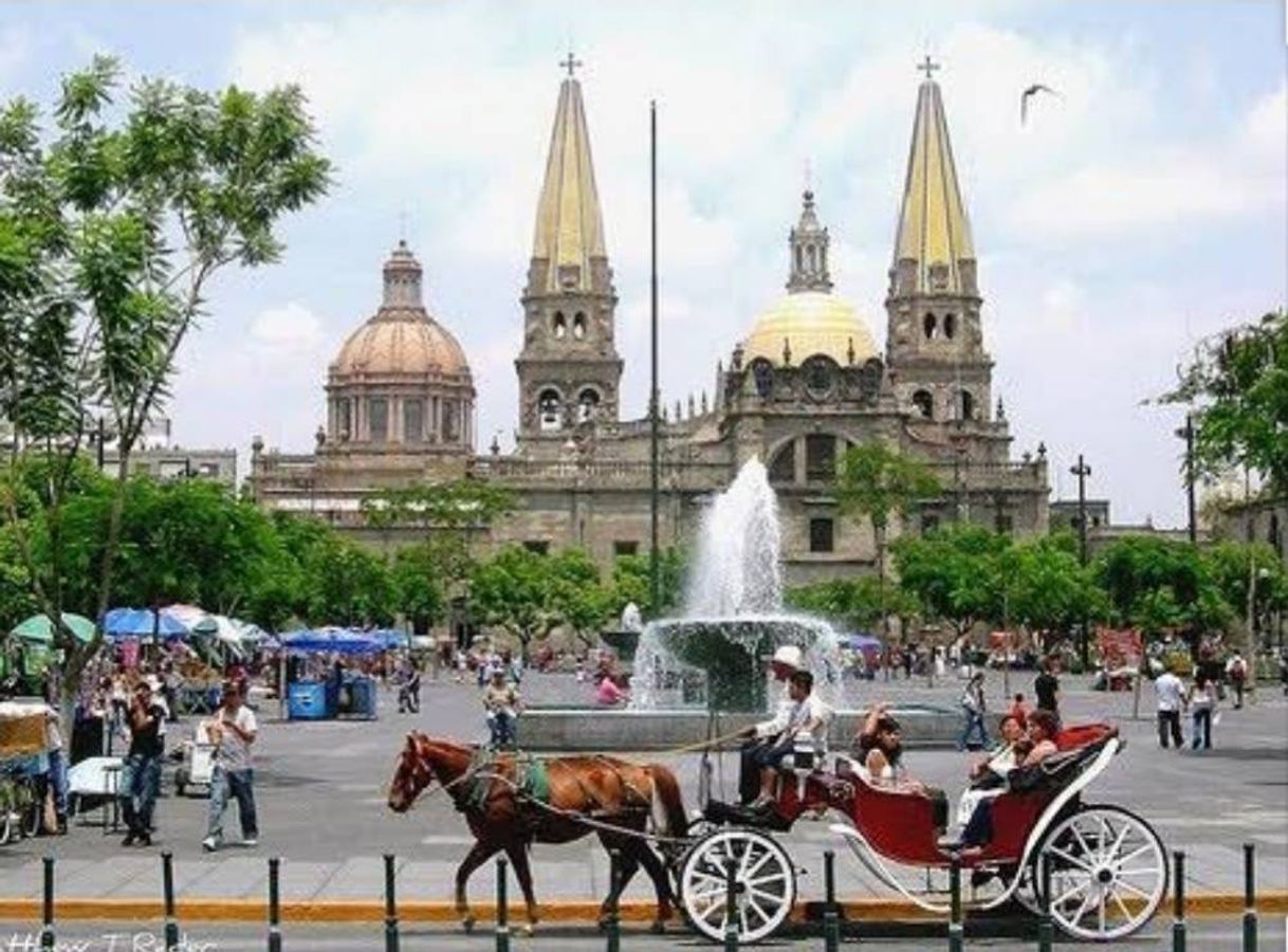 Place Guadalajara