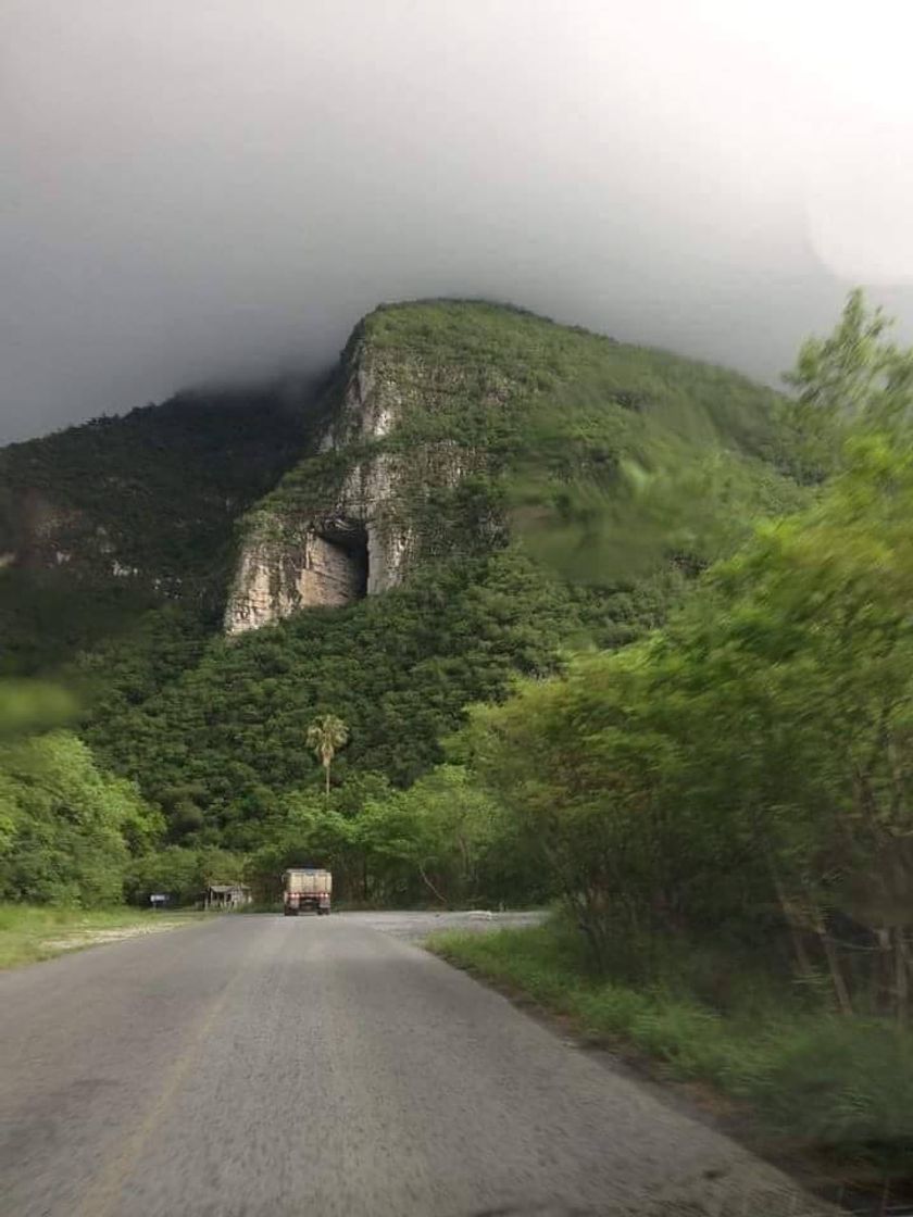 Lugar Cueva De Los Murcielagos