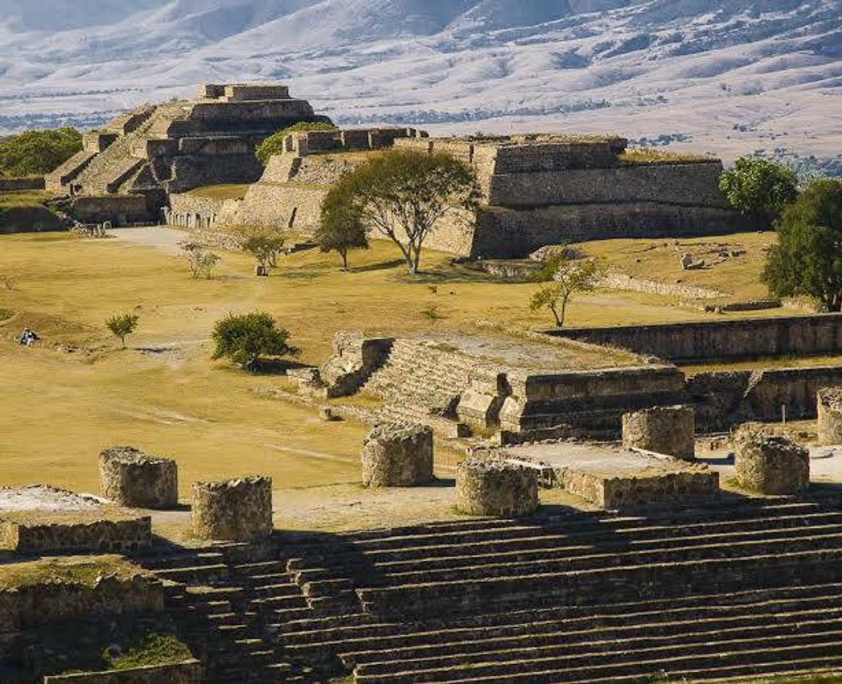 Place Monte Albán