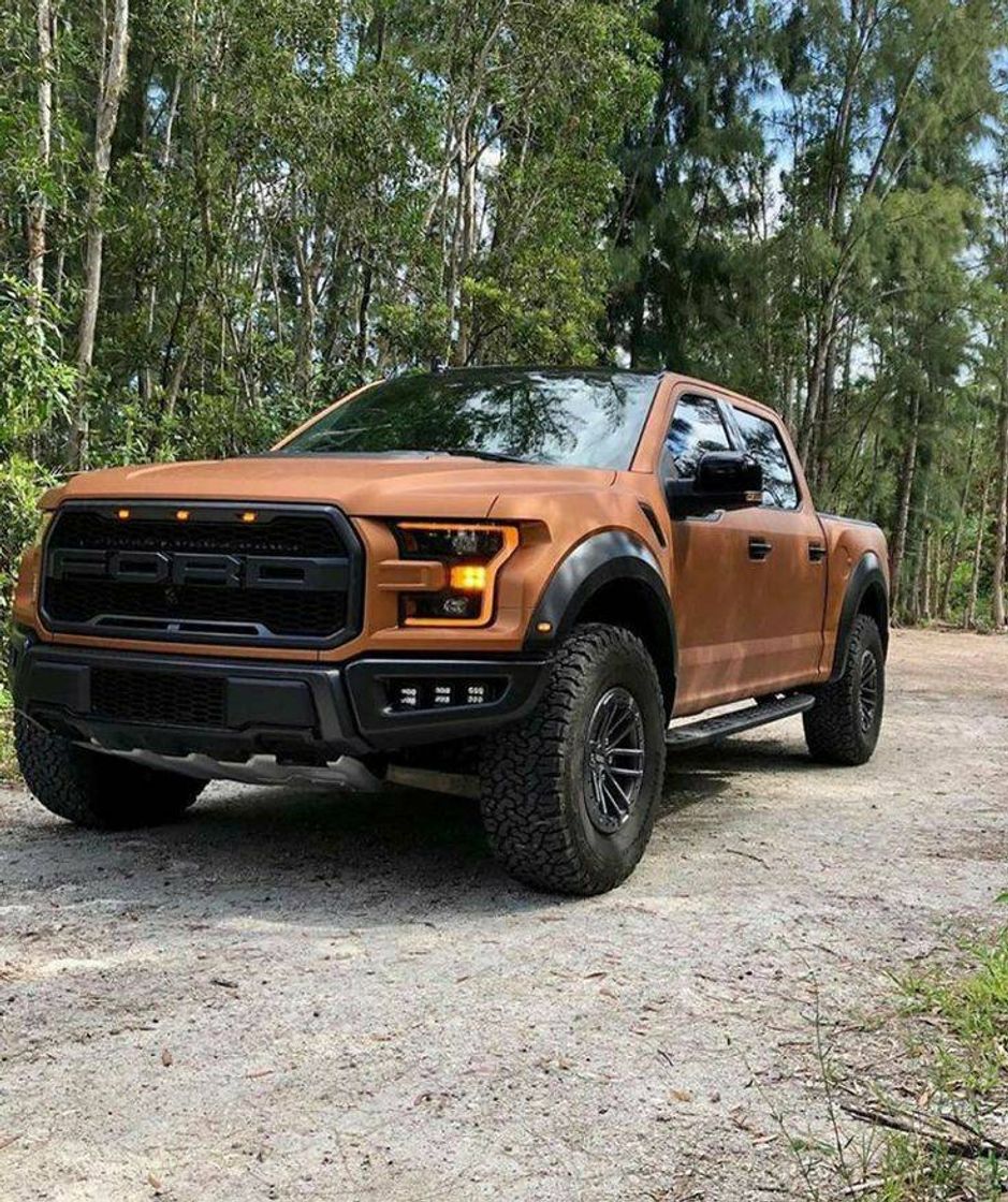 Moda Top  essa ford f-150