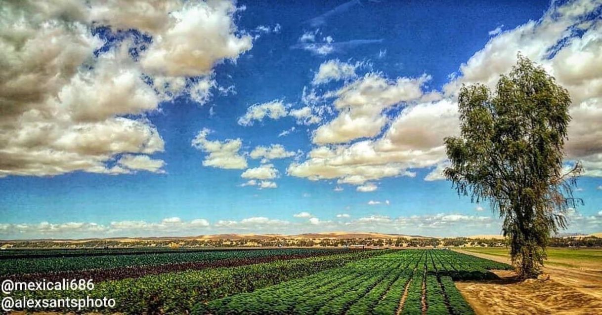 Lugares Valle de Mexicali