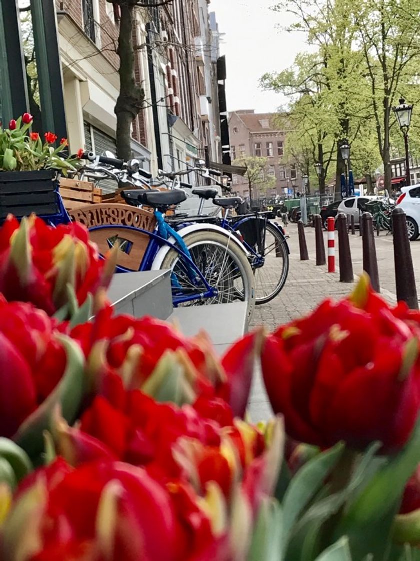 Place Prinsengracht