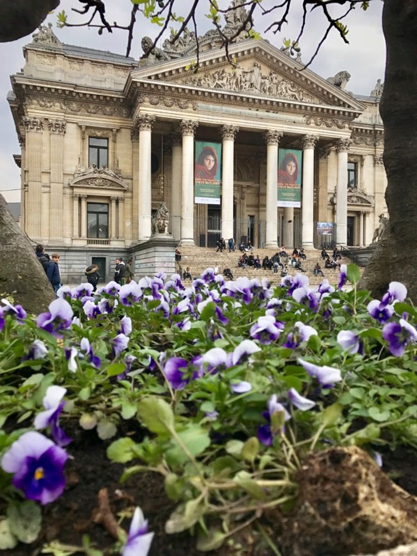 Place Bruselas