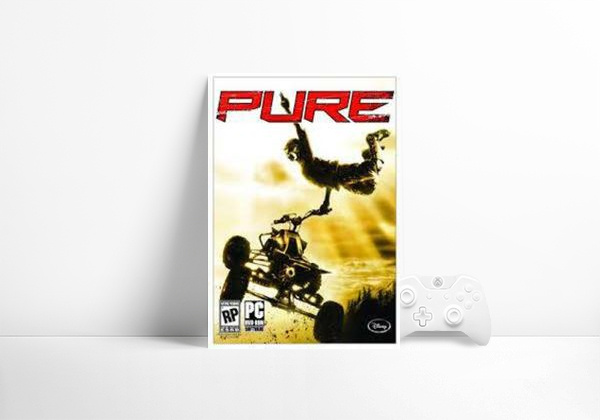 Videogame Pure