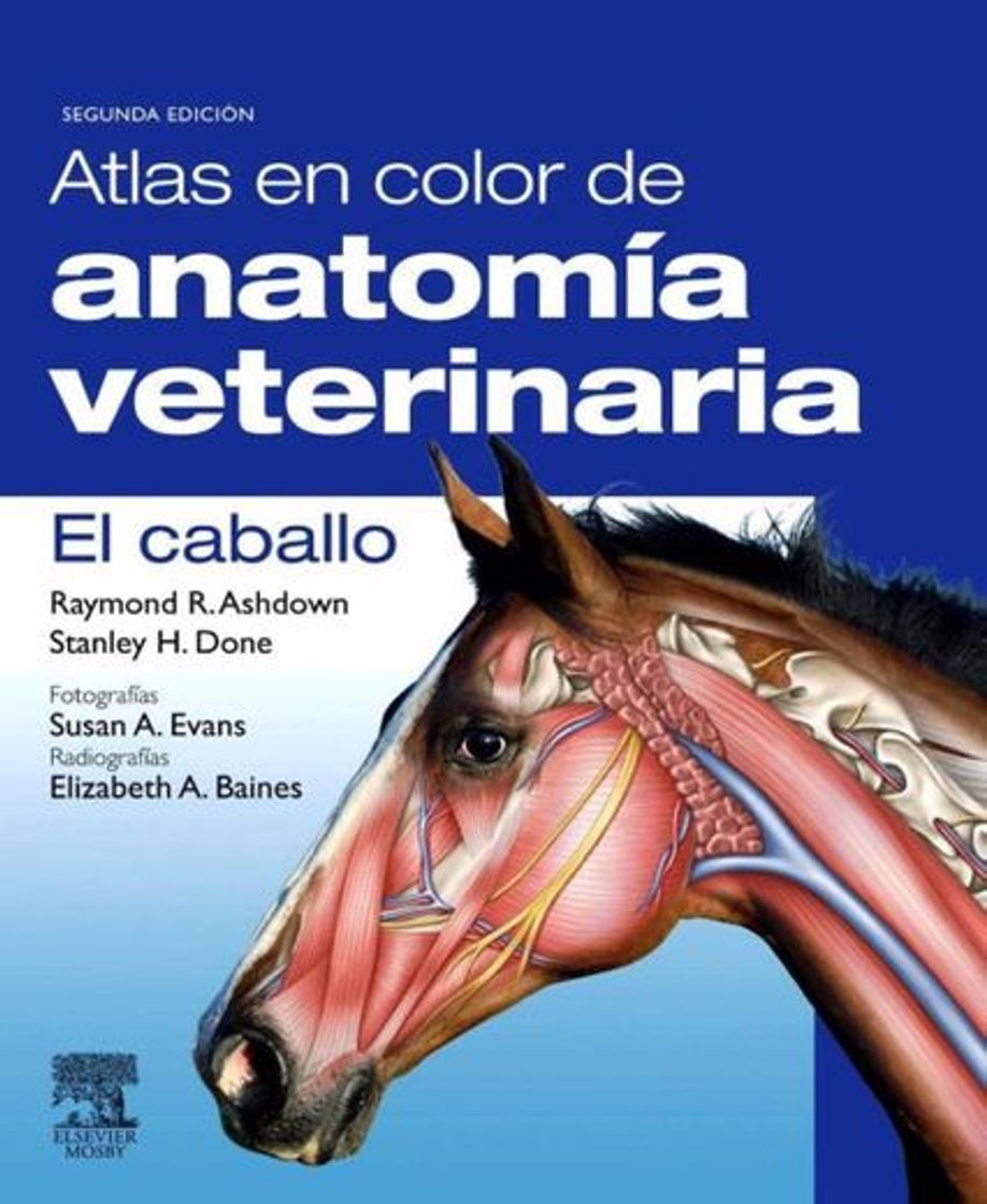 Libro Atlas en color de anatomía veterinaria. Equinos