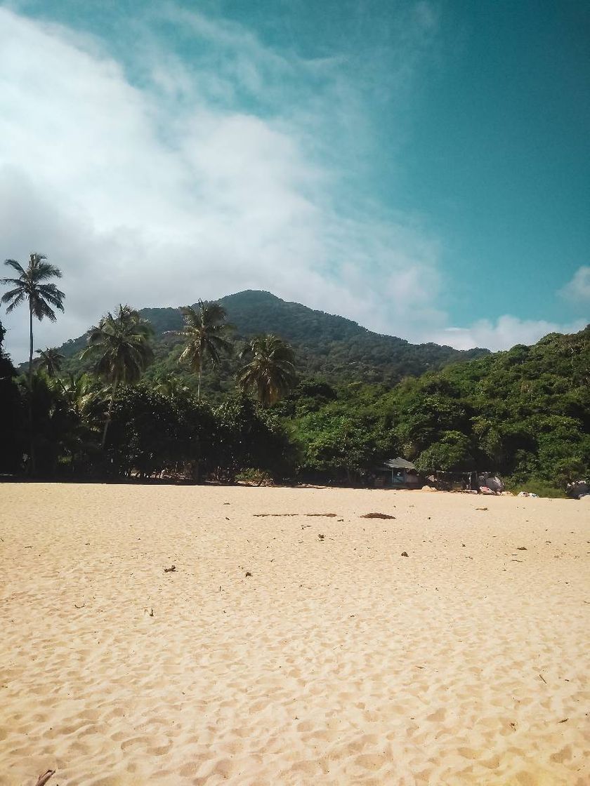 Place Tayrona National Park