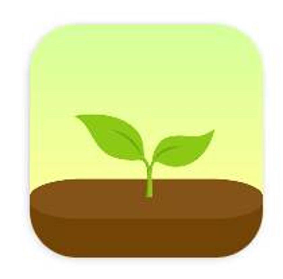 App Forest app